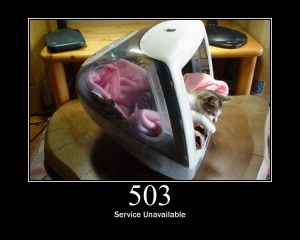 Service unavailable (source http.cat)