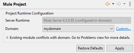 Mule Project settings with selected custom Domain